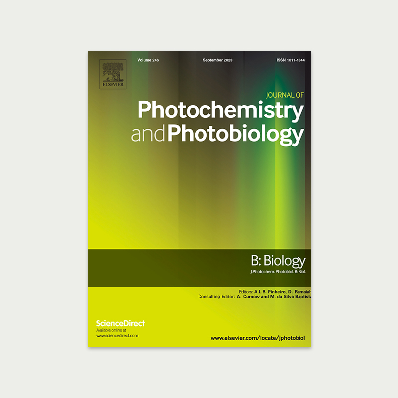 cylinder clincial excellence photochemistry mark pimental